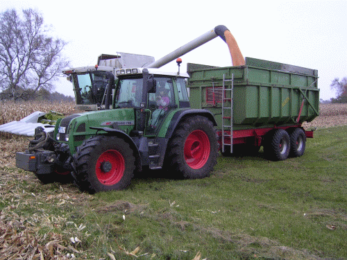 Mulde