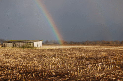 Regenbogen
