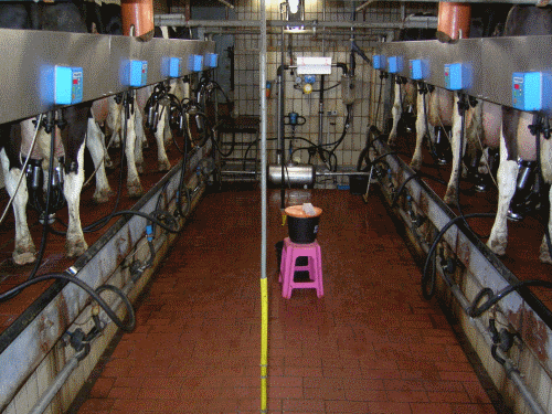 Melkstand